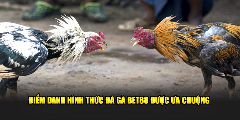 Đá gà bet88 mang lại nhiều sân chơi thú vị